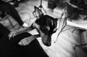 A Day In The Life of Batso Maccharoli - 22