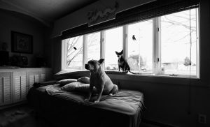 A Day In The Life of Batso Maccharoli - 25